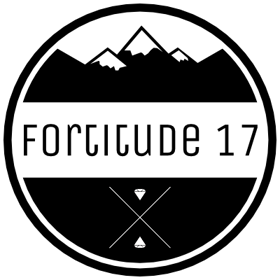 Fortitude 17 - Dynamics 365 testing experts