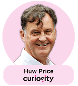 Huw Price, Curiosity Software