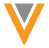 icon-veeva