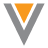 icon-veevacrm