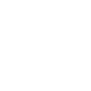 project-team